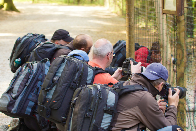 Fotografen in Action 006